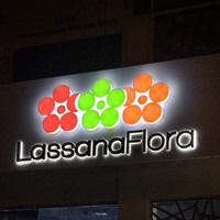 12 Pixels Advertising